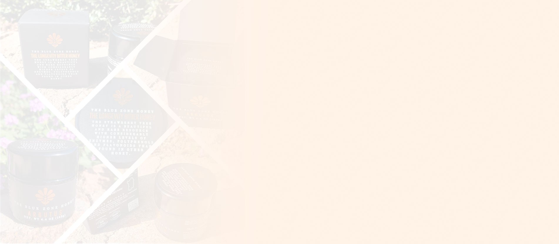 Main Slider
